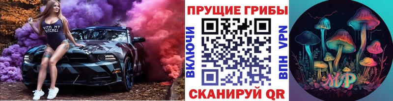 Купить  Гурьевск  Псилоцибиновые грибы мицелий 